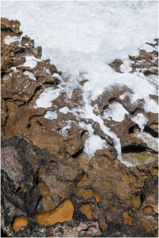 Main image Earth & Sea 2