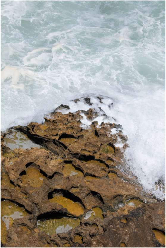 Main image Earth & Sea (Kopie)