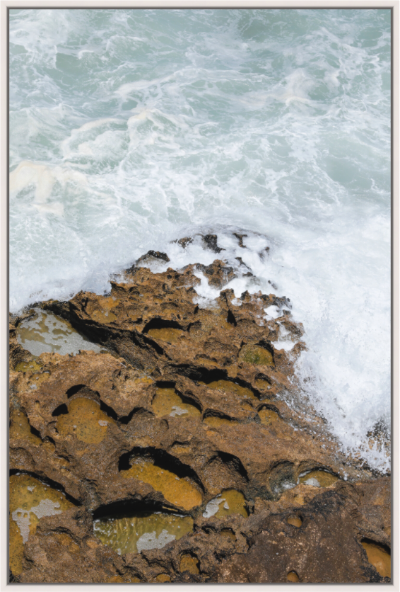 Main image Earth & Sea