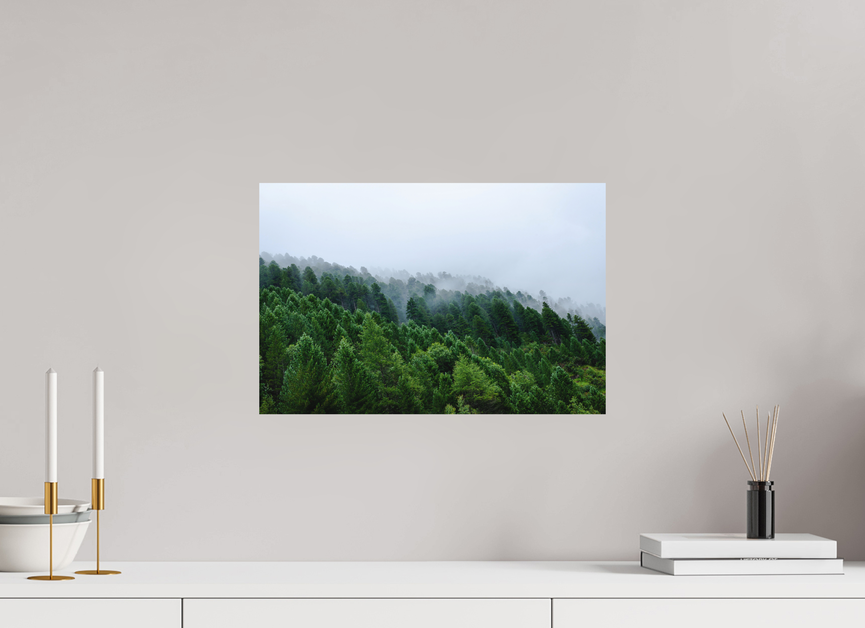 45 x 30 cm, Fine Art Print - Infinity Rag Photo 2 - on Alu Dibond Trees lined slope 2